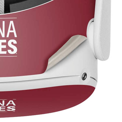 NHL Arizona Coyotes Lineup Oculus Quest 2 Skin